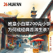 班章小白菜200克小饼为何成经典普洱生茶？（图4）
