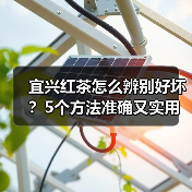 宜兴红茶怎么辨别好坏？5个方法准确又实用（图1）