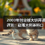 2003年创业版大饼开汤评测：勐海大树茶料口感醇厚水路细腻（图2）