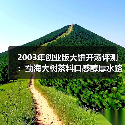 2003年创业版大饼开汤评测：勐海大树茶料口感醇厚水路细腻（图4）