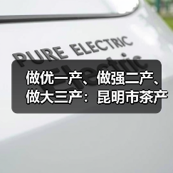 做优一产、做强二产、做大三产：昆明市茶产业升级路径（图4）