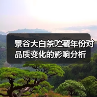 景谷大白茶贮藏年份对品质变化的影响分析（图2）