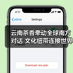 云南茶香牵动全球南方对话 文化纽带连接世界（图2）