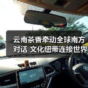 云南茶香牵动全球南方对话 文化纽带连接世界（图3）