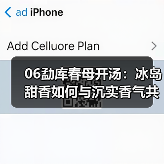06勐库春母开汤：冰岛甜香如何与沉实香气共舞？（图4）