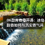 06勐库春母开汤：冰岛甜香如何与沉实香气共舞？（图3）