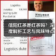 信阳红茶是红茶吗？深度解析工艺与风味特点（图3）