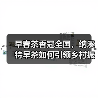 早春茶香冠全国，纳溪特早茶如何引领乡村振兴？（图4）