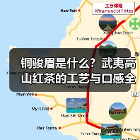 铜骏眉是什么？武夷高山红茶的工艺与口感全解析（图2）