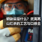 铜骏眉是什么？武夷高山红茶的工艺与口感全解析（图1）