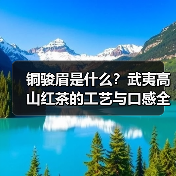 铜骏眉是什么？武夷高山红茶的工艺与口感全解析（图3）