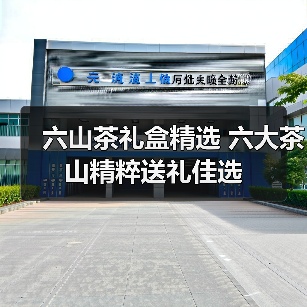 六山茶礼盒精选 六大茶山精粹送礼佳选（图2）