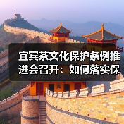 宜宾茶文化保护条例推进会召开：如何落实保护措施？（图2）