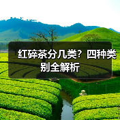红碎茶分几类？四种类别全解析（图1）