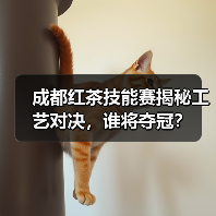 成都红茶技能赛揭秘工艺对决，谁将夺冠？（图4）