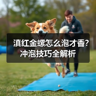 滇红金螺怎么泡才香？冲泡技巧全解析（图2）