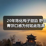 20年陈化梅子甜韵 野生青饼口感为何如此饱满？（图3）
