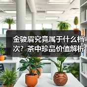 金骏眉究竟属于什么档次？茶中珍品价值解析（图4）