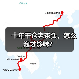 十年干仓老茶头，怎么泡才够味？（图3）