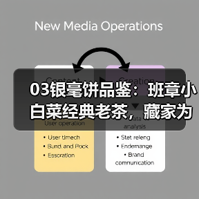 03银毫饼品鉴：班章小白菜经典老茶，藏家为何争相追捧（图2）