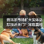 普洱茶市场扩大实体店却加速关门？背后真相令人震惊（图1）