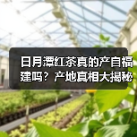 日月潭红茶真的产自福建吗？产地真相大揭秘（图2）