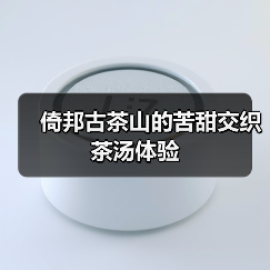 倚邦古茶山的苦甜交织茶汤体验（图3）