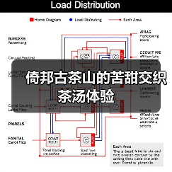 倚邦古茶山的苦甜交织茶汤体验（图4）