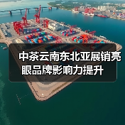 中茶云南东北亚展销亮眼品牌影响力提升（图4）