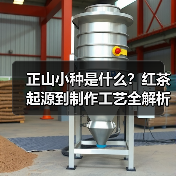 正山小种是什么？红茶起源到制作工艺全解析（图1）