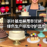 茶叶基地禁用草甘膦：绿色生产标准守护品质（图1）