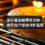 茶叶基地禁用草甘膦：绿色生产标准守护品质（图3）