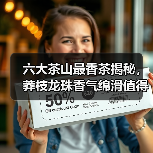 六大茶山最香茶揭秘，莽枝龙珠香气绵滑值得尝（图2）