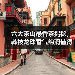 六大茶山最香茶揭秘，莽枝龙珠香气绵滑值得尝（图4）