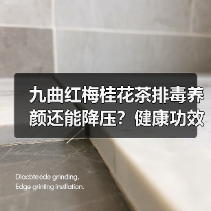 九曲红梅桂花茶排毒养颜还能降压？健康功效全解析（图3）