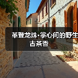 革登龙珠·掌心间的野生古茶香（图2）