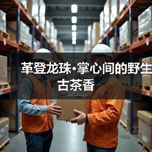 革登龙珠·掌心间的野生古茶香（图4）