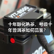 十年醇化熟茶，号级十年普洱茶如何品鉴？（图2）