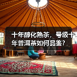 十年醇化熟茶，号级十年普洱茶如何品鉴？（图4）