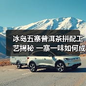 冰岛五寨普洱茶拼配工艺揭秘 一寨一味如何成就五寨风味（图4）