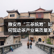雅安市“三茶统筹”如何驱动茶产业高质量发展（图1）