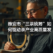 雅安市“三茶统筹”如何驱动茶产业高质量发展（图3）