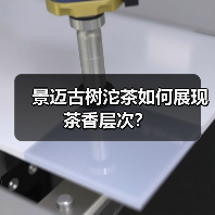 景迈古树沱茶如何展现茶香层次？（图1）