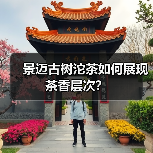 景迈古树沱茶如何展现茶香层次？（图3）