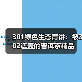 301绿色生态青饼：被302遮盖的普洱茶精品（图2）