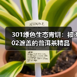 301绿色生态青饼：被302遮盖的普洱茶精品（图3）