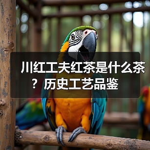 川红工夫红茶是什么茶？历史工艺品鉴（图1）