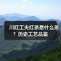 川红工夫红茶是什么茶？历史工艺品鉴（图4）