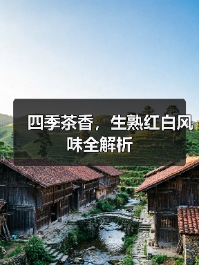 四季茶香，生熟红白风味全解析（图1）