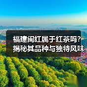 福建闽红属于红茶吗？揭秘其品种与独特风味（图1）
